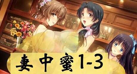 妻中蜜(1+2+3 合集)