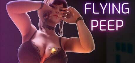 空中窥视/Flying Peep