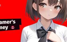 流媒体玩家的旅程/Streamer’s Journey