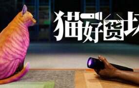 猫好货坏/ORDER 13