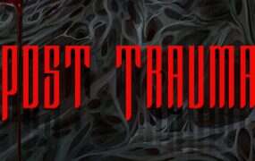 创伤之后/Post Trauma