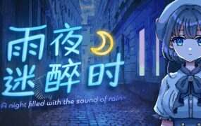 雨夜迷醉时/A night filled with the sound of rain（更新至v1.03）