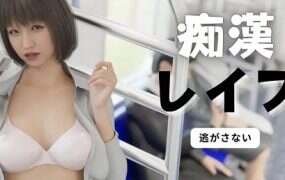 电车之狼：无法逃避/Molestation Rape（更新至v1.05）