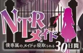 NTR女仆～我专属女仆被抢走的30天 | 安卓直装【856M】