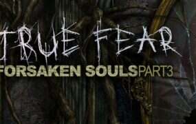 真实恐惧：被遗弃的灵魂3/True Fear Forsaken Souls Part 3（v1.1.2）