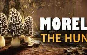 羊肚菌:狩猎游戏/Morels: The Hunt