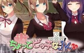 有点碧池的女高中生 从炮友开始的青春