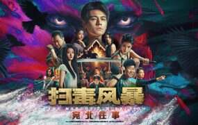 扫毒风暴:宛北往事/The Narcotic Operation