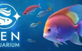 禅意水族箱/Zen Aquarium