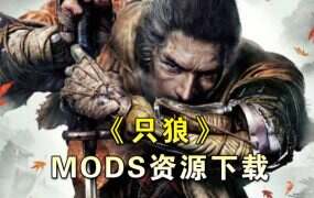 《只狼:影逝二度》500+MOD整合包