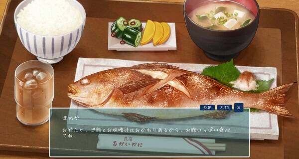 夏日的14天/SUMMER -14 Days Vacation
