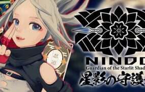 NINDO 星影の守護者(Build.20453437)