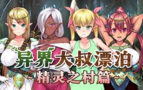 异界大叔漂泊记~精灵之村篇