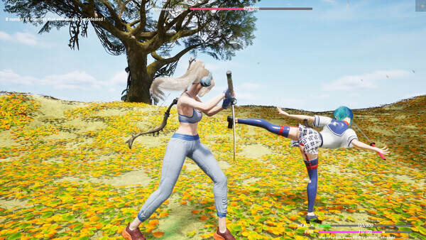 飞儿/Phoenix’s Faye（Build.20624023）