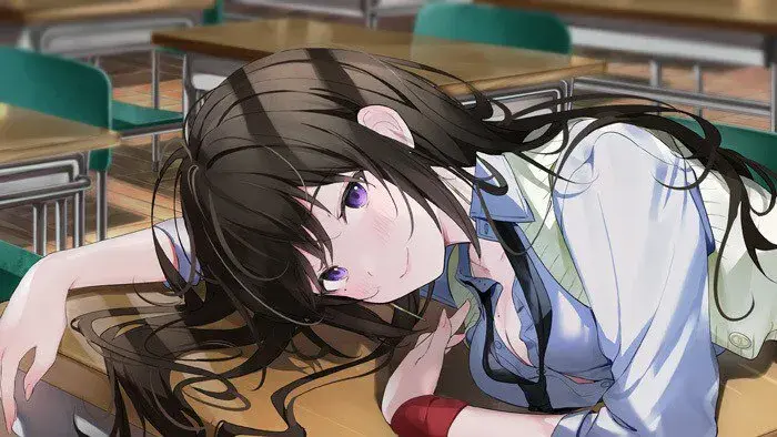 毫无经验的同班同学π/経験ゼロなクラスメイトπ