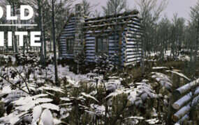 冷白/The Cold White（Build.21100504）