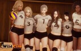 野猫 | 安卓直装【3.7G】