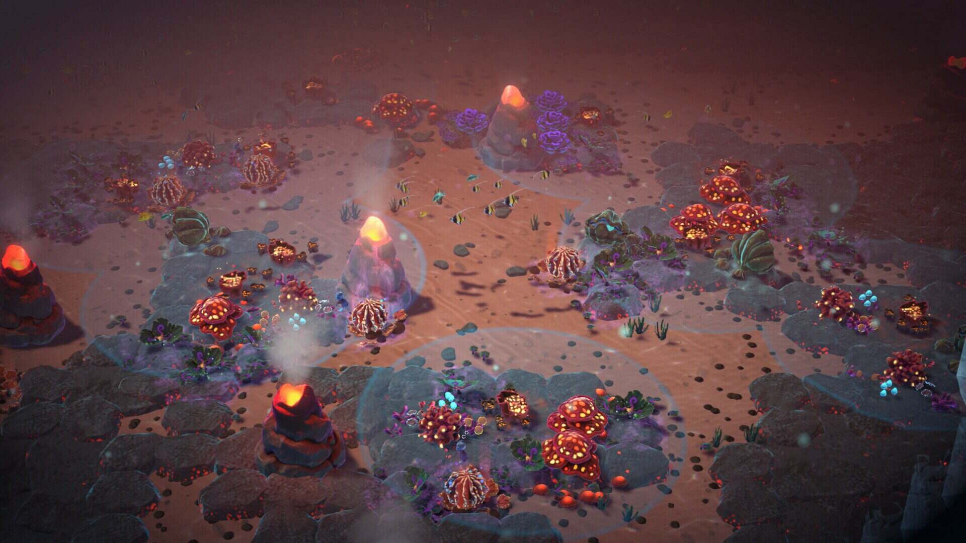 水底生命/Life Below（Build.20980496）