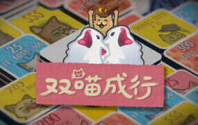 双喵成行/Replicat