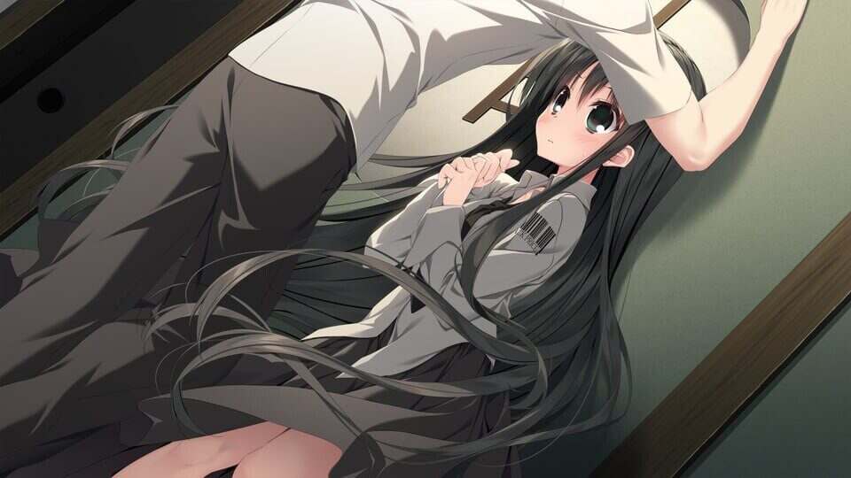 樱之诗10周年纪念版/Sakuranouta10th Anniversary edition 重制版