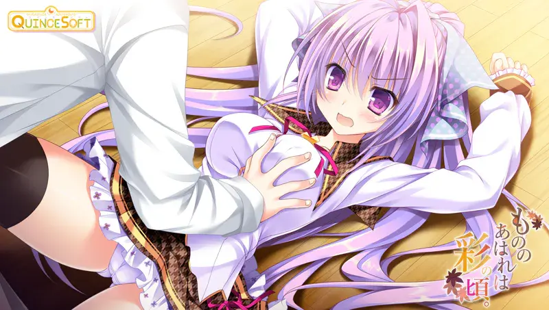 真情流露于五彩之时/もののあはれは彩の頃