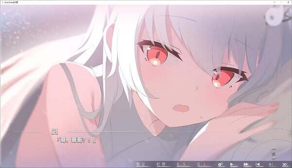 片方的祈愿/カタネガイ