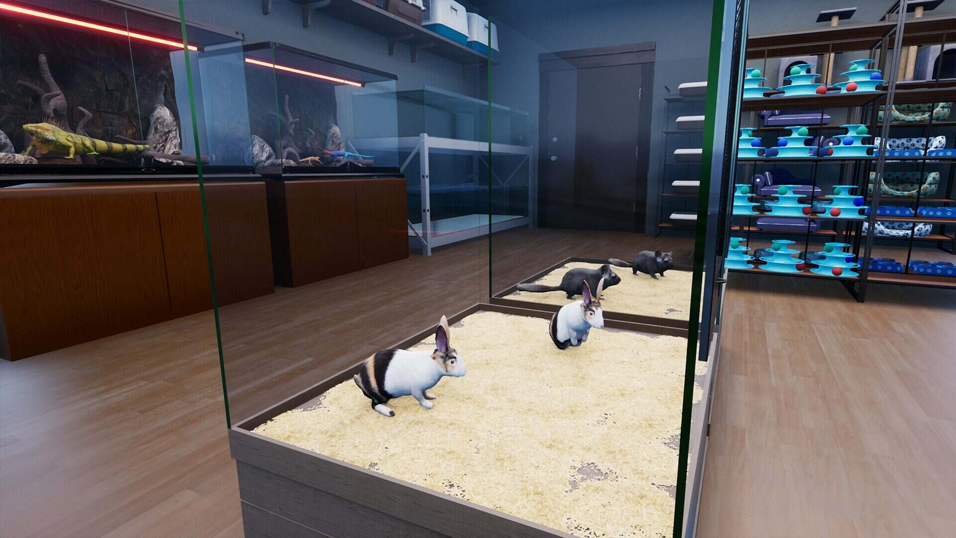 异域风情2：宠物店模拟器/Exotica 2 Pet Shop Simulator