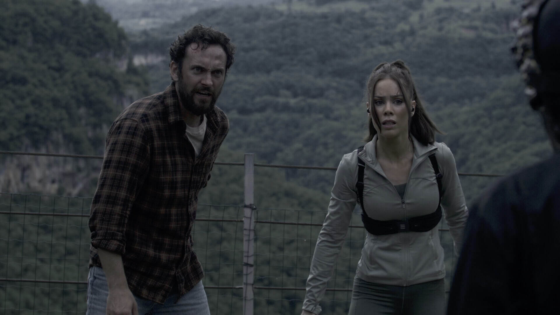 奔跑/The Run（Build.21738439）