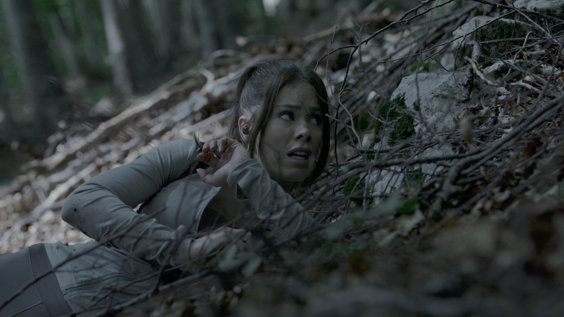 奔跑/The Run（Build.21738439）