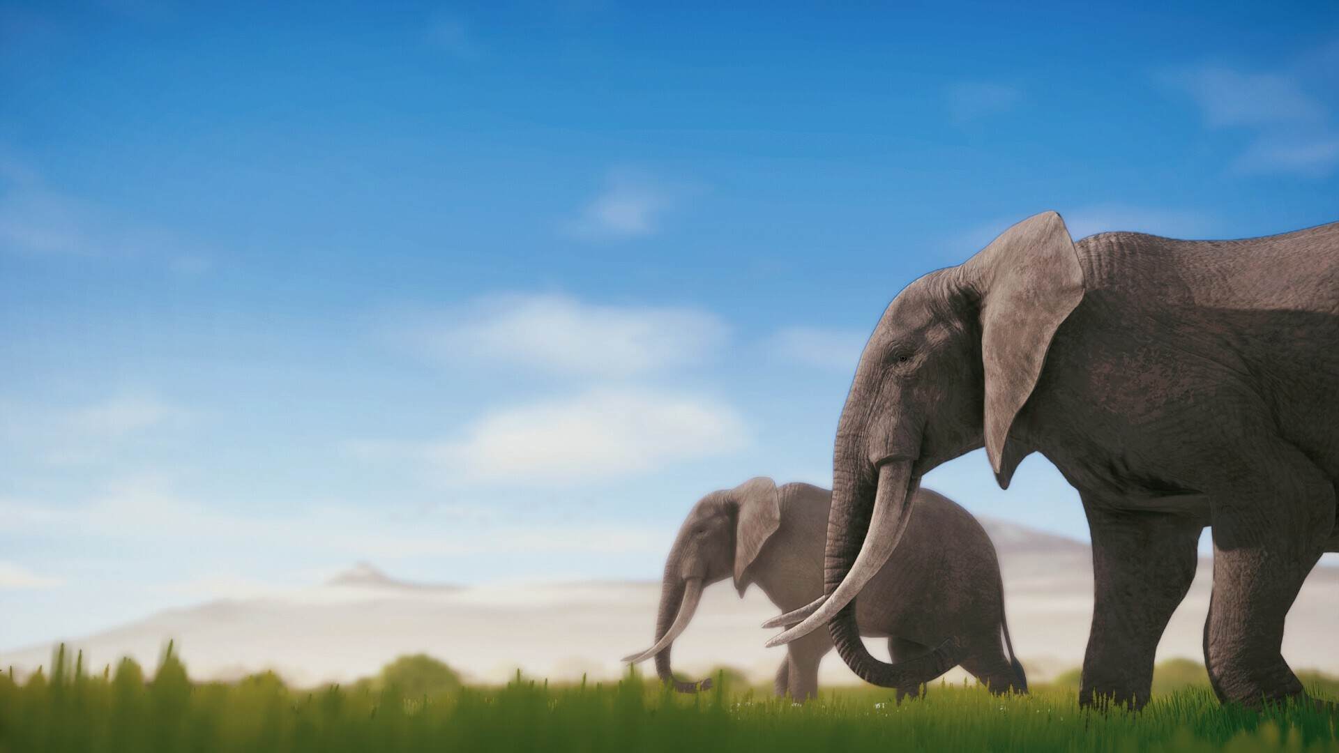 野生动物摄影/Seclusa