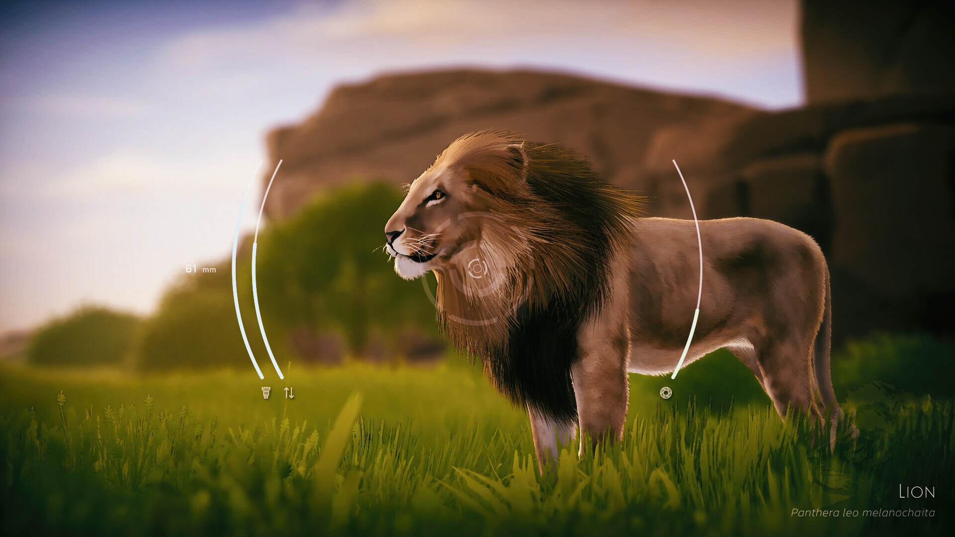 野生动物摄影/Seclusa