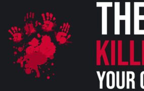 他们杀了你的猫/They Killed Your Cat