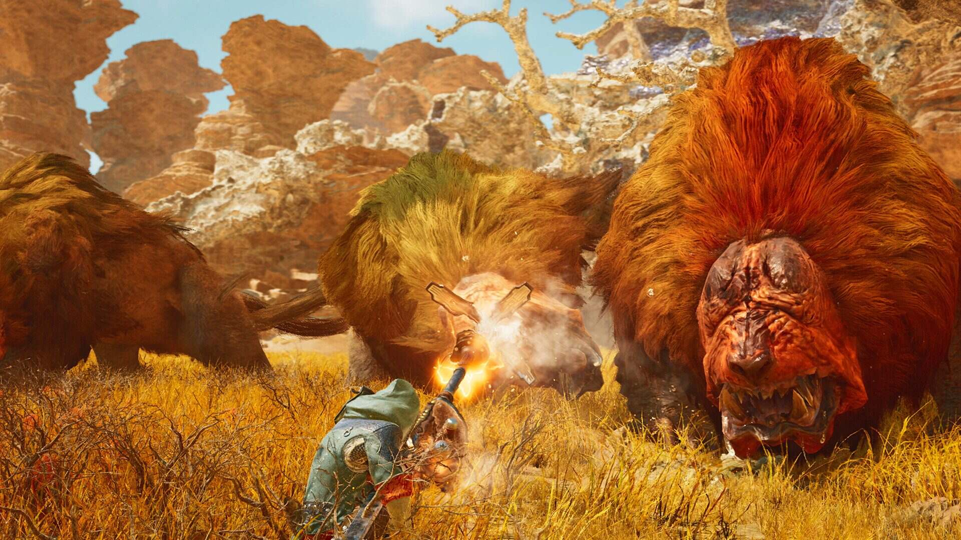 怪物猎人：荒野/Monster Hunter Wilds