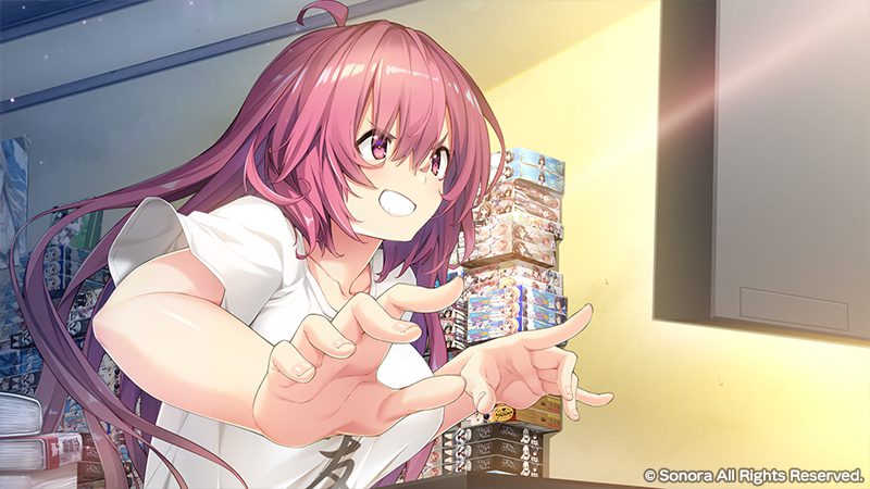 响野家开的工口游戏店/響野さん家はエロゲ屋さん