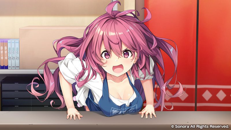响野家开的工口游戏店/響野さん家はエロゲ屋さん