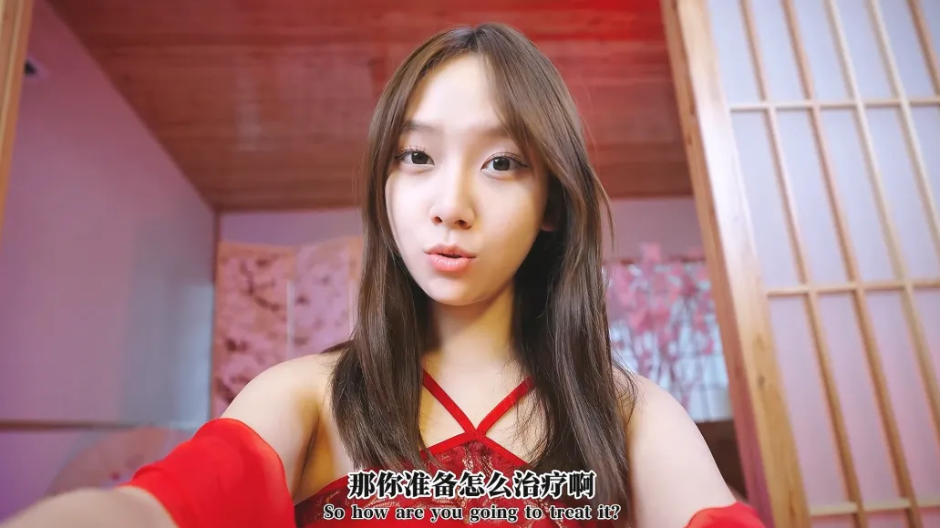 金瓶梅1/The Pluminthe GoldenVaEwofV