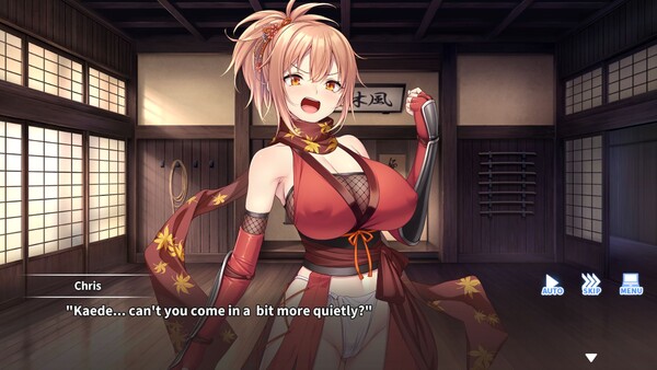 听从师父大人的吩咐/Do As I Say – Obedience to the Ninja Master